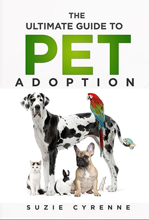 The Ultimate Guide to Pet Adoption