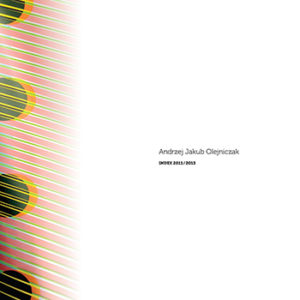 Andrzej Jakub Olejniczak Index 2011/13
