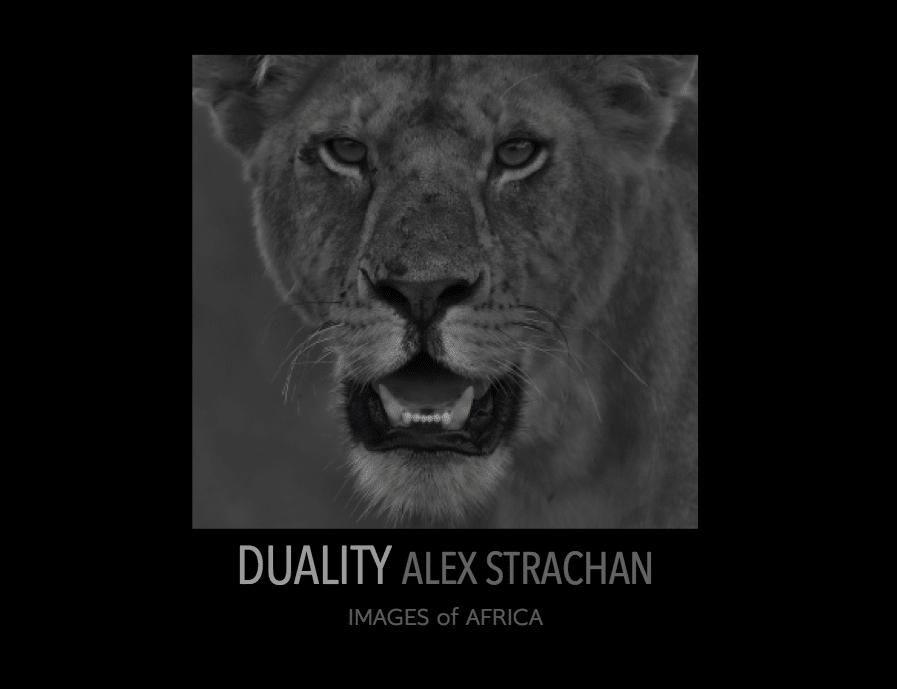 Duality: Images of Africa