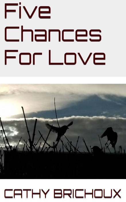 Five Chances For Love