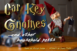 Car Key Gnomes and Other Household Pests