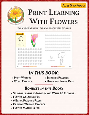 Print Learning With Flowers