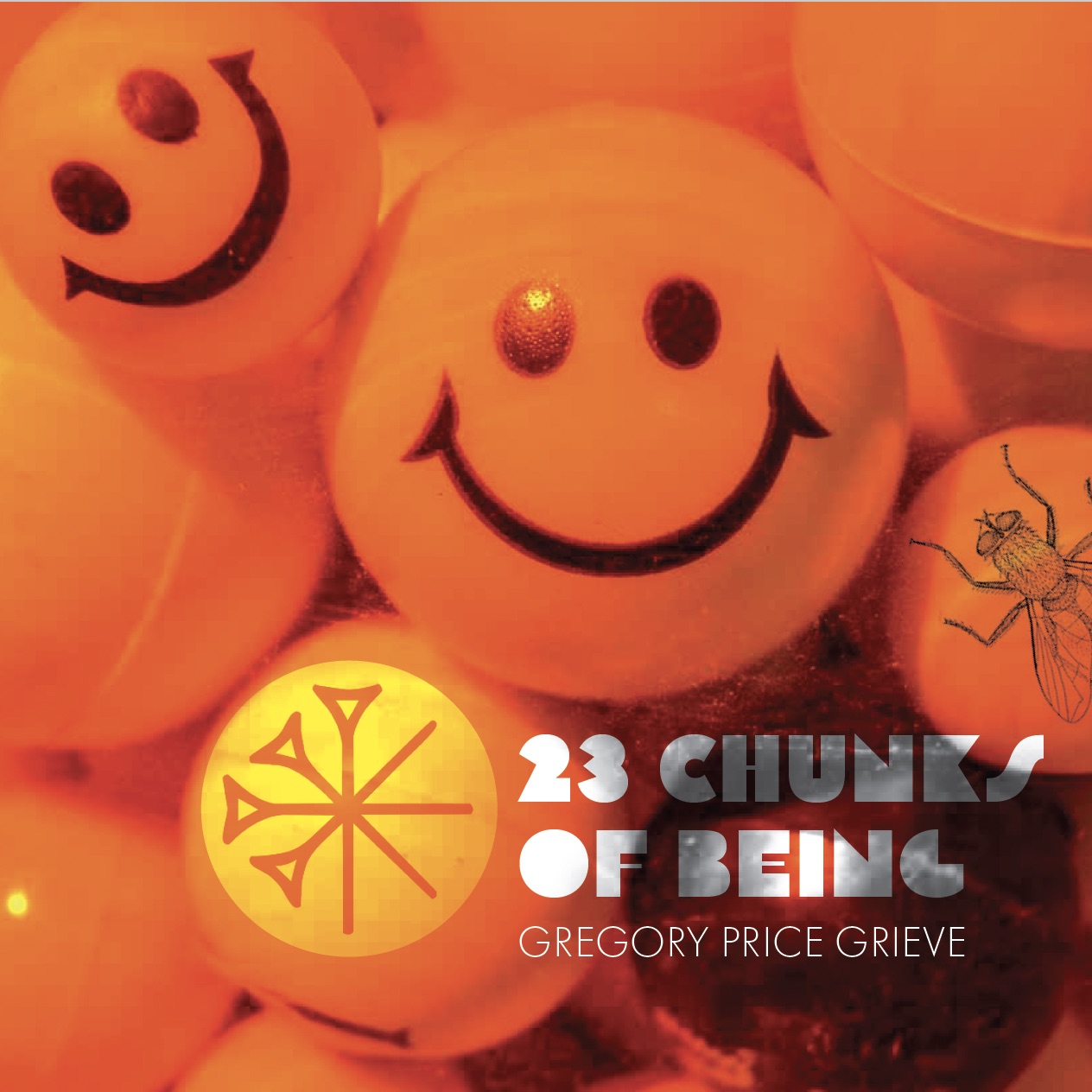 23 Chunks of Being