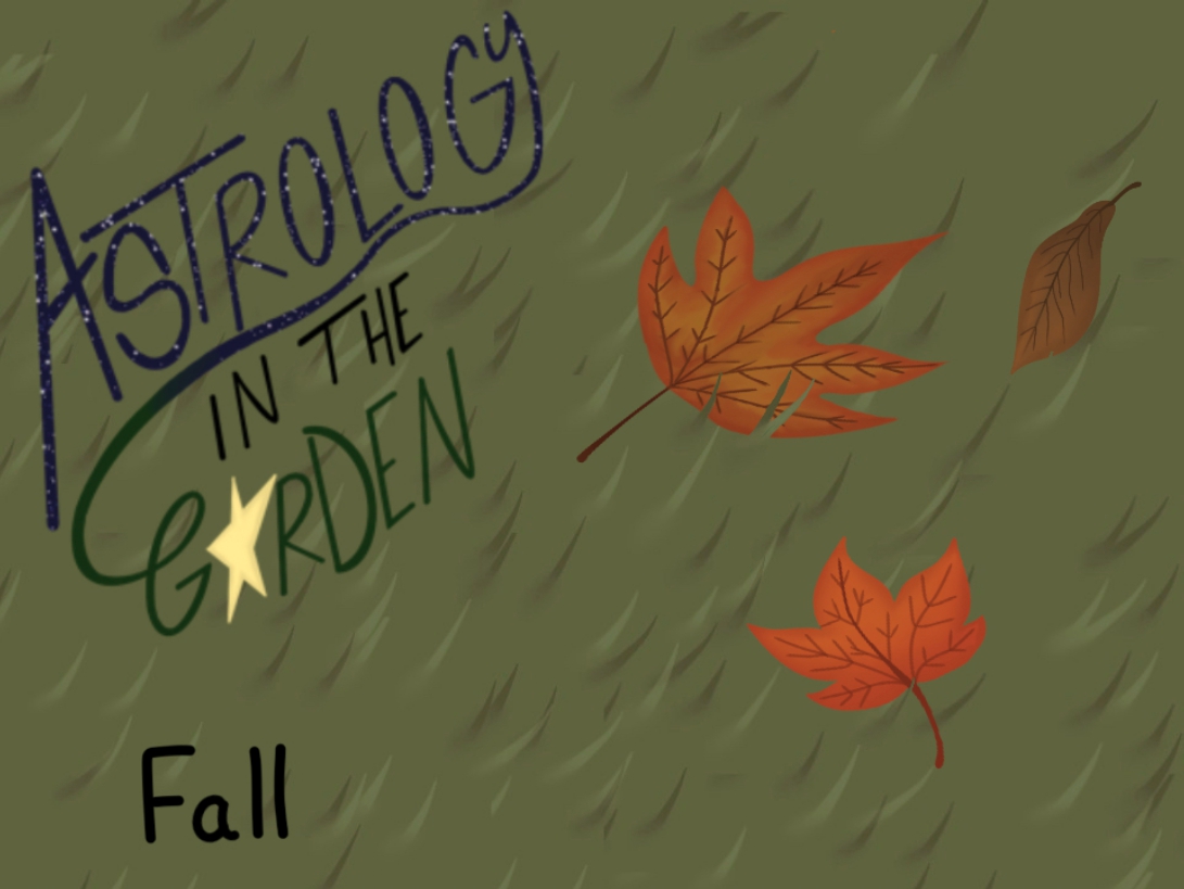 Astrology in the Garden Picture Book Fall