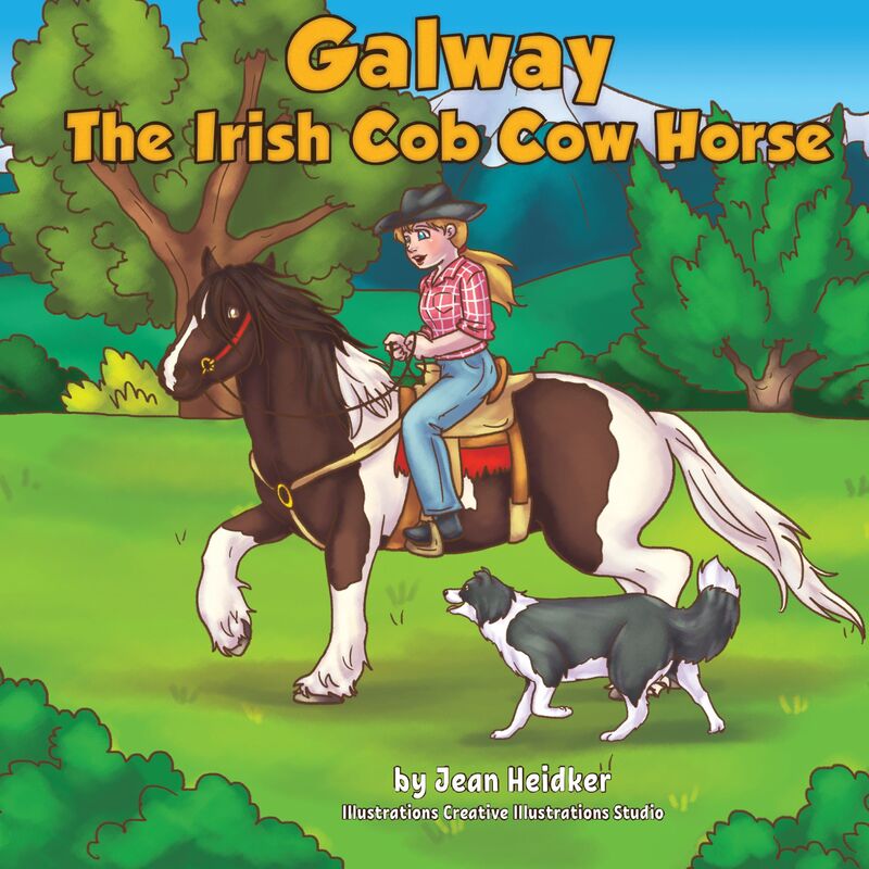 Galway the Irish Cob Cow Horse