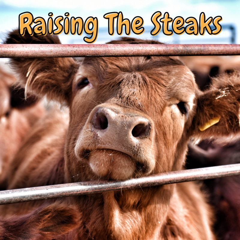 Raising The Steaks