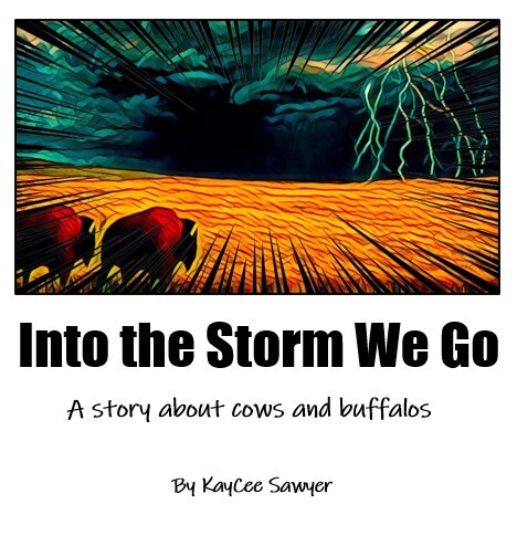 Into the Storm We Go